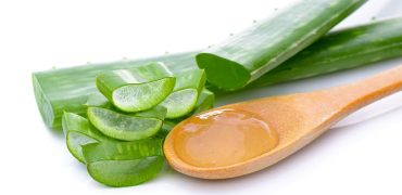 Tri Mun Bang Nha Dam