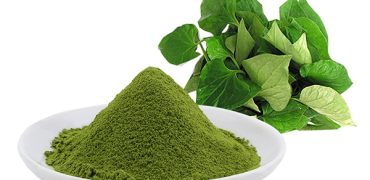 20210216 134346 467402 Rau Diep Ca.max 1800x1800